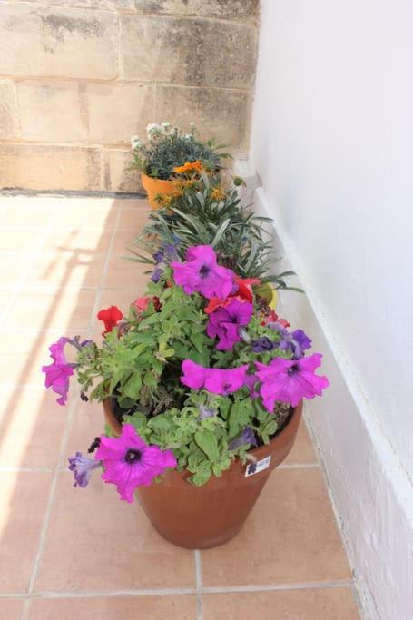 That Little Zurrieq Exterior photo
