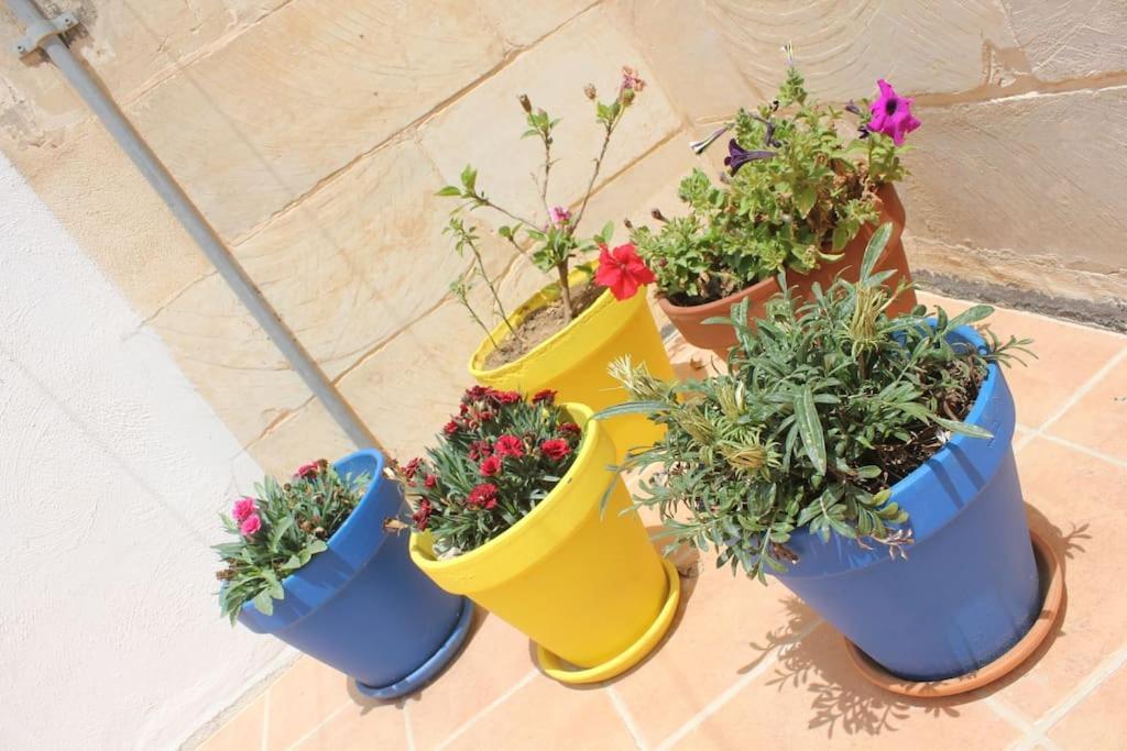 That Little Zurrieq Exterior photo